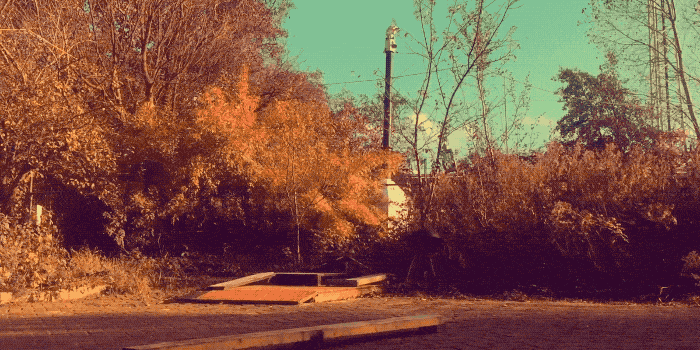 Vince erstattede sin bil med en Onewheel XR, og passerede 5000 km milepælen