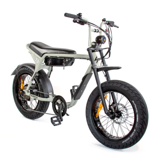 Super73-ZX Moon Rock