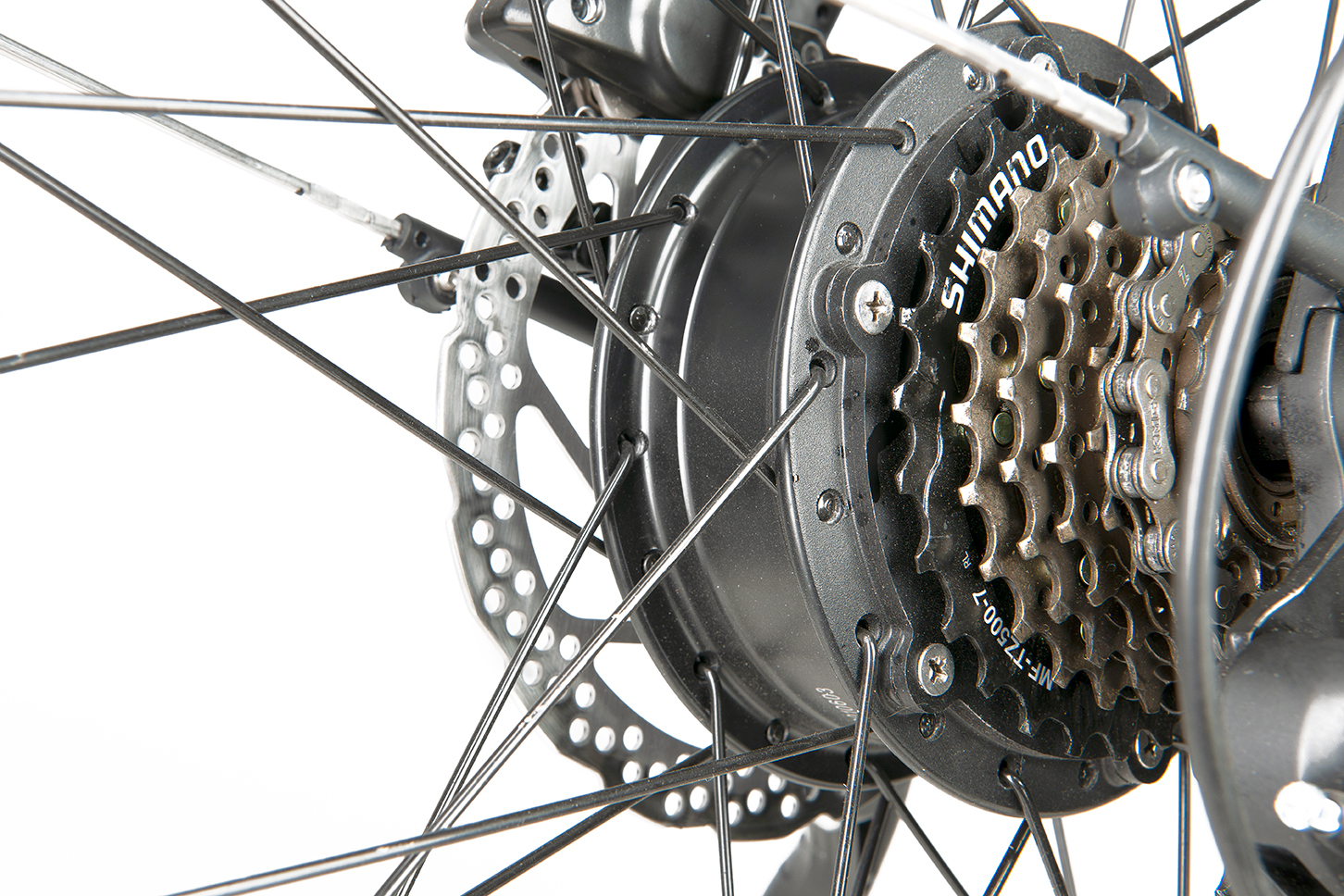 Ostrichoo Zeno Ostrichoo Zeno - Billede 4