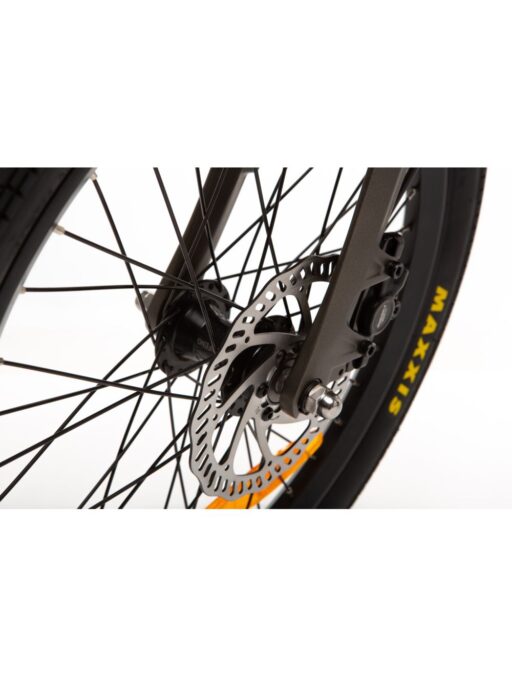 Littium IBIZA TITANIUM Littium